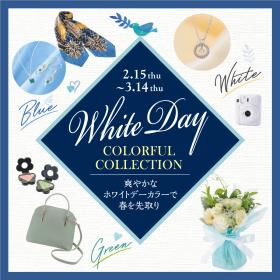 Whiteday Colorful Collection
