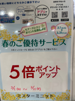 当店は期間中ずっとポイント5倍!