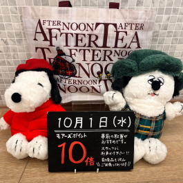 10月1日はモアーズポイント10倍✨