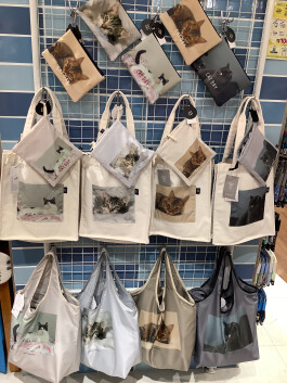 フォトにゃんこがかわいい!