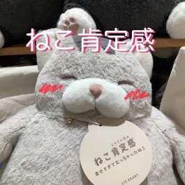 ねこ肯定感