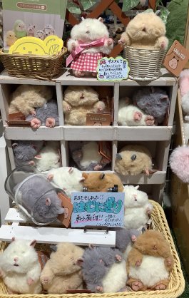 まさかのハムハムハムひむ?