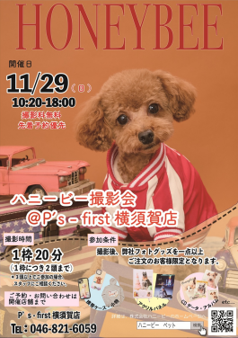 「ペットの写真撮影会」予約受付中!