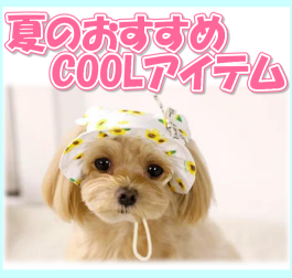 愛犬が夏を快適に過ごす準備始めませんか??
