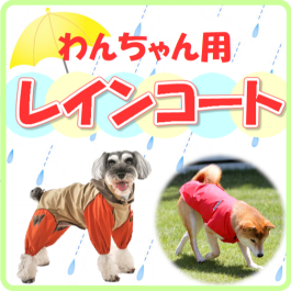 梅雨本番!【わんちゃんのレインコート♪】