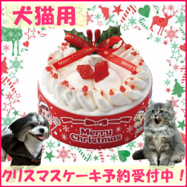 犬猫用クリスマスケーキ予約受付中!