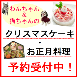 わんちゃん＆猫ちゃん用の【クリスマスケーキ・お正月料理】予約受付中です！