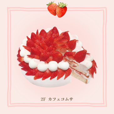 神奈川県産いちご「かなこまち」のいちごティラミスショートケーキ