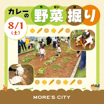 8/1(土) カレーの野菜掘り体験!