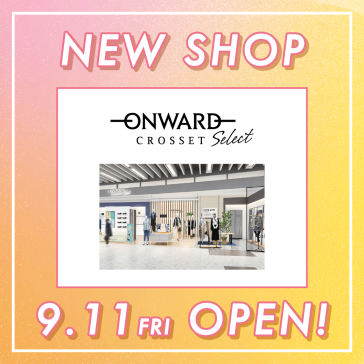 ONWARD CROSSET SELECT≪レディースファッション≫