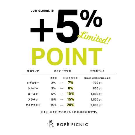 +5%ポイントアップキャンペーン!