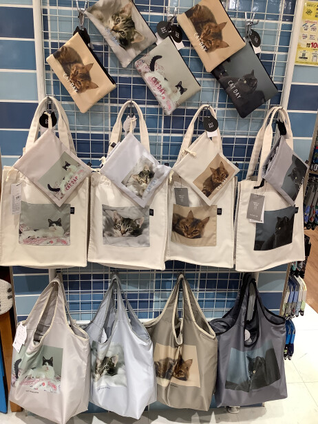 フォトにゃんこがかわいい！