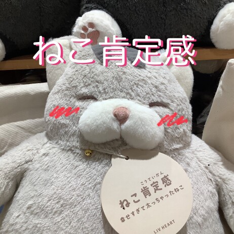 ねこ肯定感