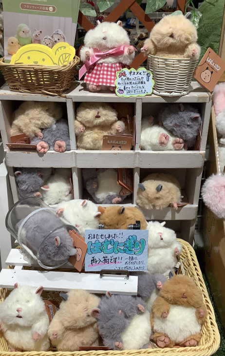 まさかのハムハムハムひむ？
