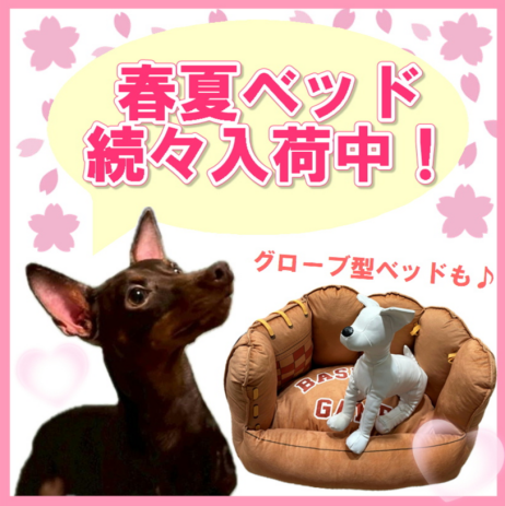 春夏のベッド続々入荷中！！